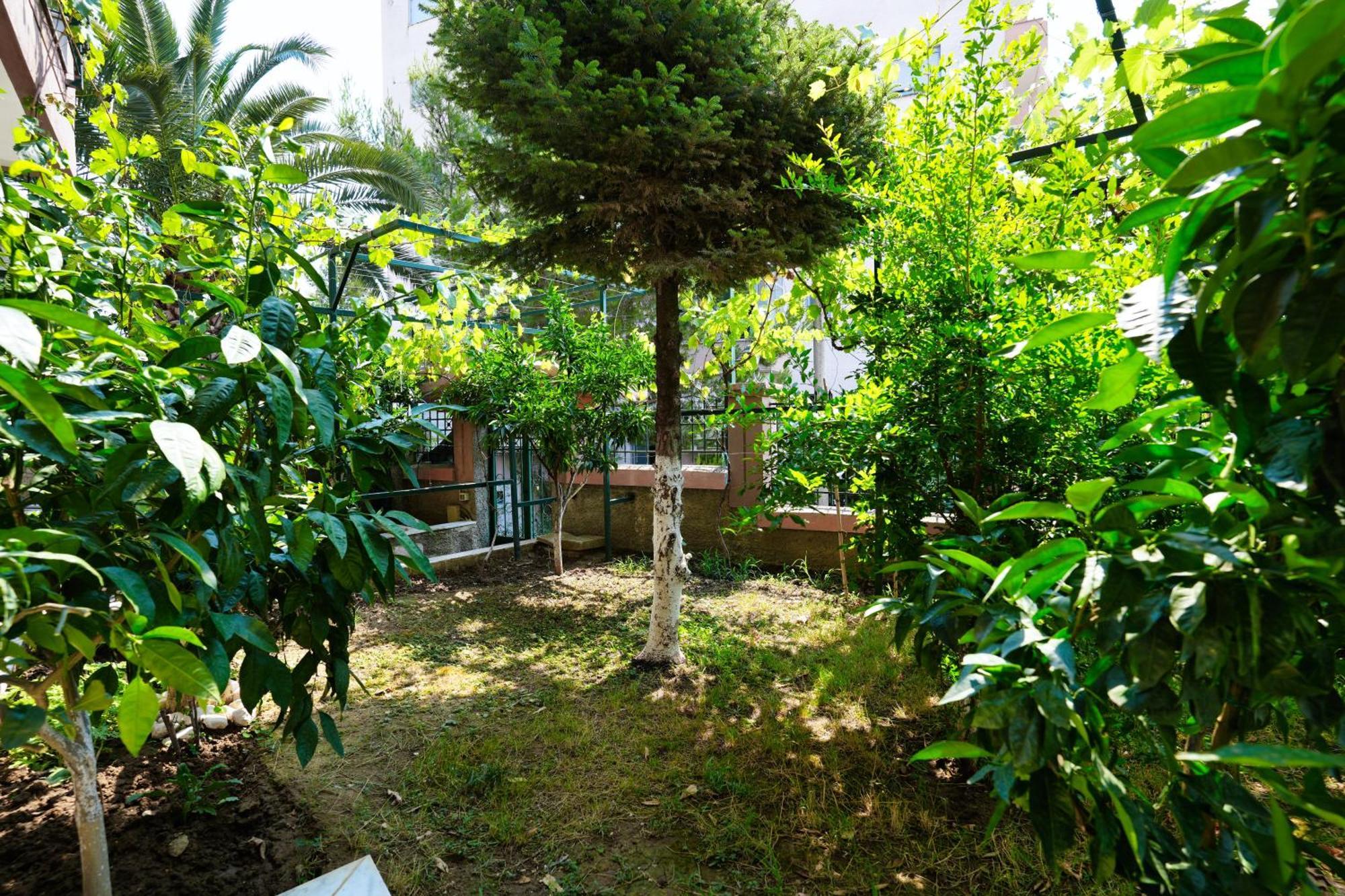 The View And Terrace Villa *
